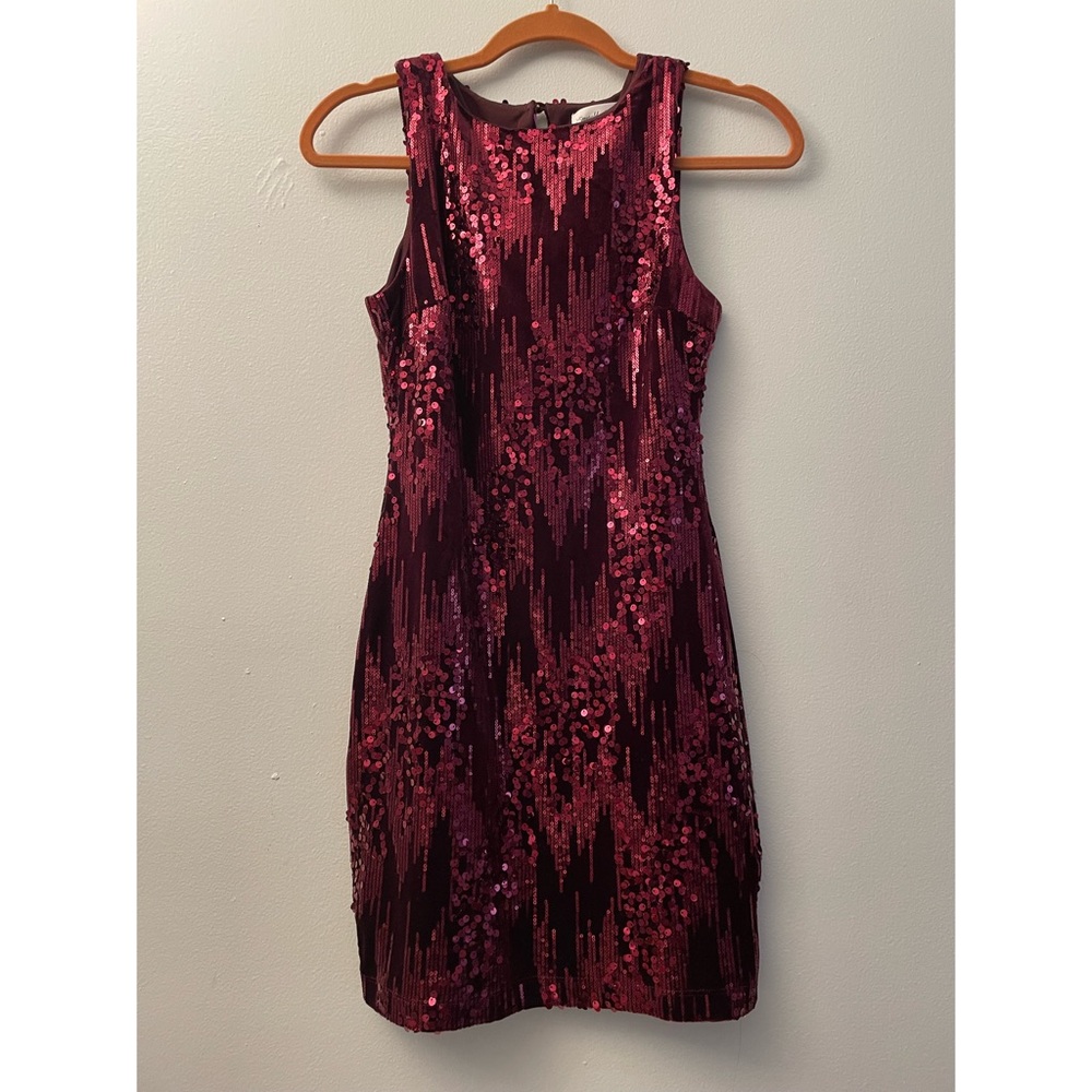 SALE‼️Exquisite Sequin Velvet Dress size Small